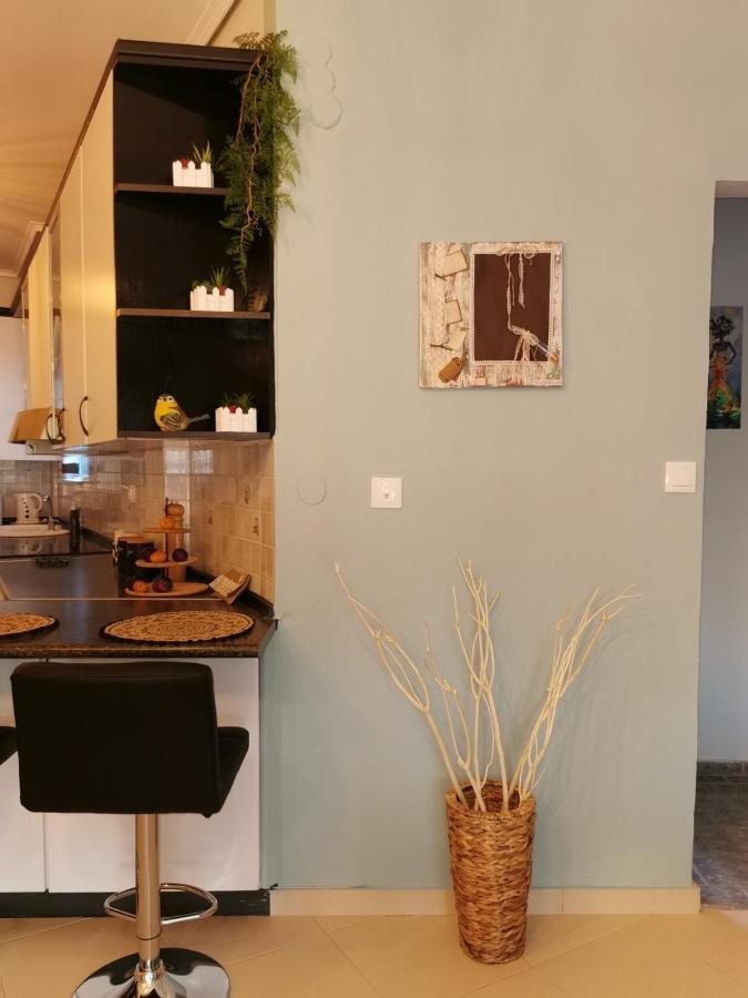 Theia Analipsi Central Apartment Kateríni المظهر الخارجي الصورة